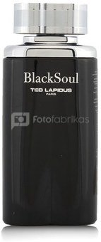 Ted Lapidus Black Soul Eau de Toilette 100мл