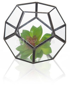 Terariumas geometrinis augalams HR04020 dia 17 cm SAVEX
