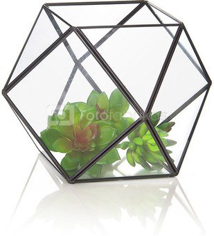 Terariumas geometrinis augalams HR04022 dia 18 cm SAVEX