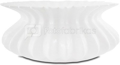 Vaza keramikinė balta 10x24,5x24,5 cm 109709