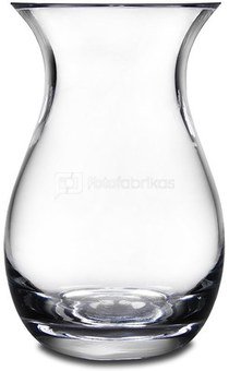 Vaza skaidraus stiklo 17,5x11x11 cm 74245 ddm