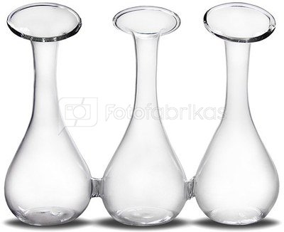 Vaza stiklinė 3-ms gėlėms 12,5x16x5,5 cm 108146