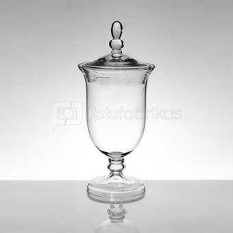 Vaza stiklinė skaidri su dangteliu h 35 cm XD1750 SAVEX