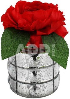 Vaza stiklinė su raudona rože HE451 H:14 W:7,5 D:7,5 cm