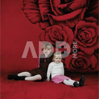 walimex pro Cloth Background Lovely, 3x6m