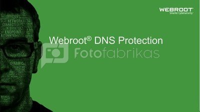 Webroot DNS Protection with GSM Console, 1 year(s), License quantity 100-249 user(s)