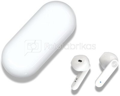 XO wireless earphones X5 TWS BT, white