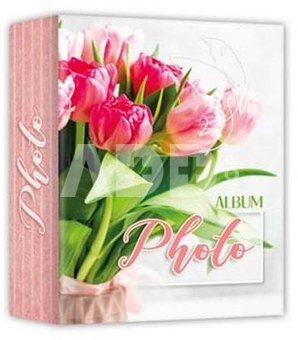 Zep AV46100 Album Slip-in 100 photos 10x15 cm - 24 albums