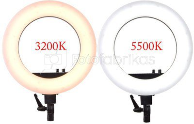 Žiedinis šviestuvas LED 50W 3200-5500K su dėklu