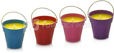 Žvakė indelyje citrinžolės kvapo 8.5x8 cm dega 15 val. 871125246172 (4 spalvų)1vnt.