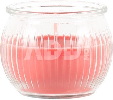 Žvakė stikliniame indelyje tropinių vaisių kvapo Aura 616075