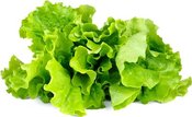 Click & Grow Smart Garden refill Lettuce 3pcs
