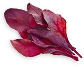 Click & Grow Smart Garden refill Red Leaf Beet 3pcs