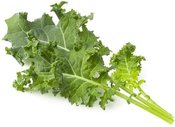 Click & Grow Smart Refill Green Kale 3pcs