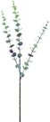 Dekoratyvinė gėlė Eukaliptas (12) h 72 cm SAVEX