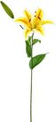 Dekoratyvinė gėlė Lelija balta/geltona (12 )h 68 cm SAVEX