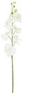 Dekoratyvinė gėlė Orchidėja balta/rožinė (12) h 90 cm SAVEX