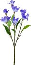 Dekoratyvinė gėlė Plačiavarpis violetinė (12) h 40 cm SAVEX