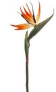 Dekoratyvinė gėlė Strelicija h 85 cm K03954