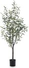 Dekoratyvinė gėlė vazonėlyje Alyvmedis 120x50x50 cm 146408