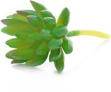 Dekoratyvinis augalas Sukulentas 12 cm HR16290 SAVEX