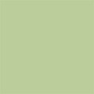 Falcon Eyes Background Paper 0013 Tropical Green 2,75 x 11 m