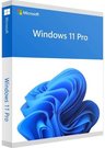 Microsoft Windows 11 Pro for Workstations HZV-00101 OEM, DVD-ROM, OEM, 64-bit, English International