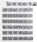 Pergamin Negativ Sleeves 7 stripes 35mm (1 sheet) GNHPPKB