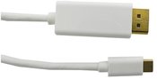 Qoltec DisplayPort Alternate mode cable | USB 3.1 C male / DisplayPort male | 4Kx2K | 2m