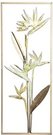 Sienos dekoracija Tropinės gėlės DP-187094 28.6x74.3 cm