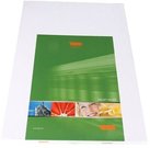 Tecco Production Paper Vinyl WR/SA Matt A3 50 sheets