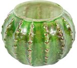 Vaza stiklinė žalia Kaktusas D14xH10 cm 108221