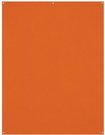 Westcott X Drop Kreukbestendige Achtergrond Tijger Oranje (1.5 x 2.1 m)