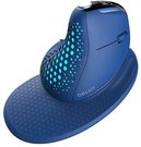Wireless Ergonomic Mouse Delux M618XSD BT+2.4G RGB (blue)