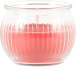 Žvakė stikliniame indelyje tropinių vaisių kvapo Aura 616075