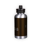 Sport bottle. Silver (500 ml)