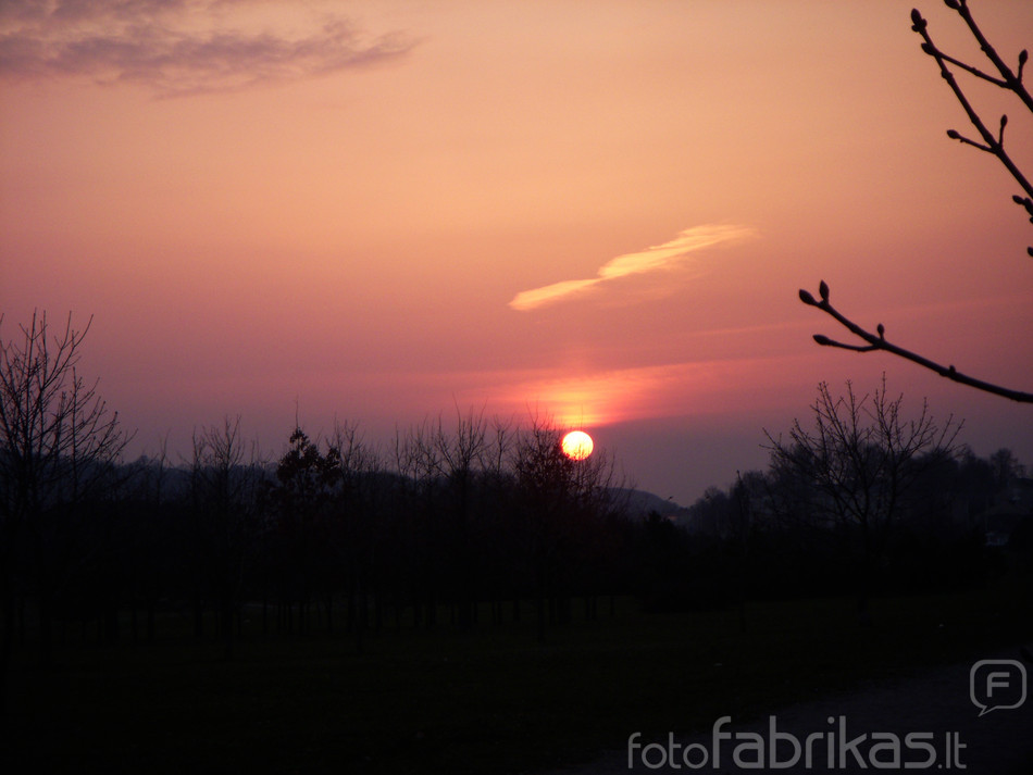 DSCN2104.JPG