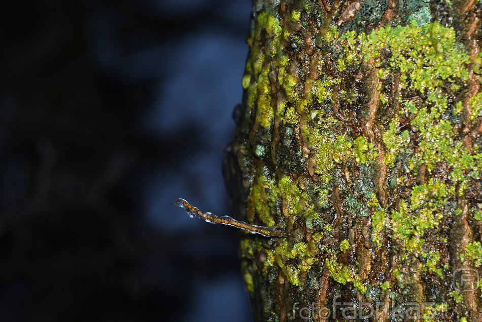 DSC_0015 small.jpg