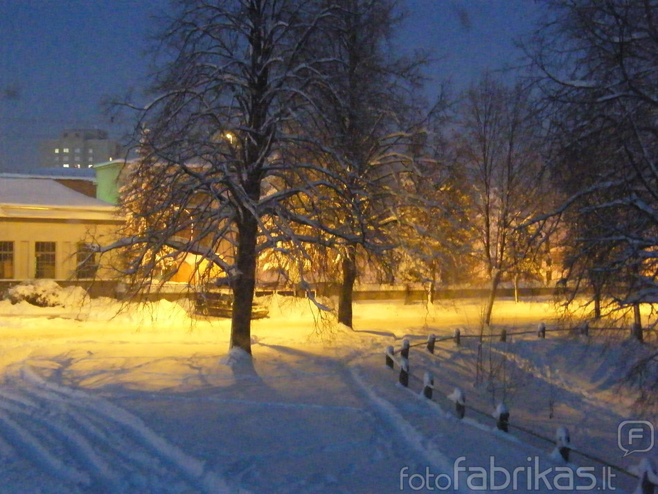DSCF0413.JPG