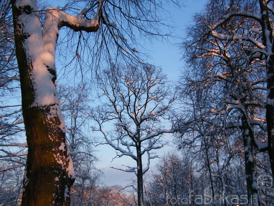 DSCF0407.JPG