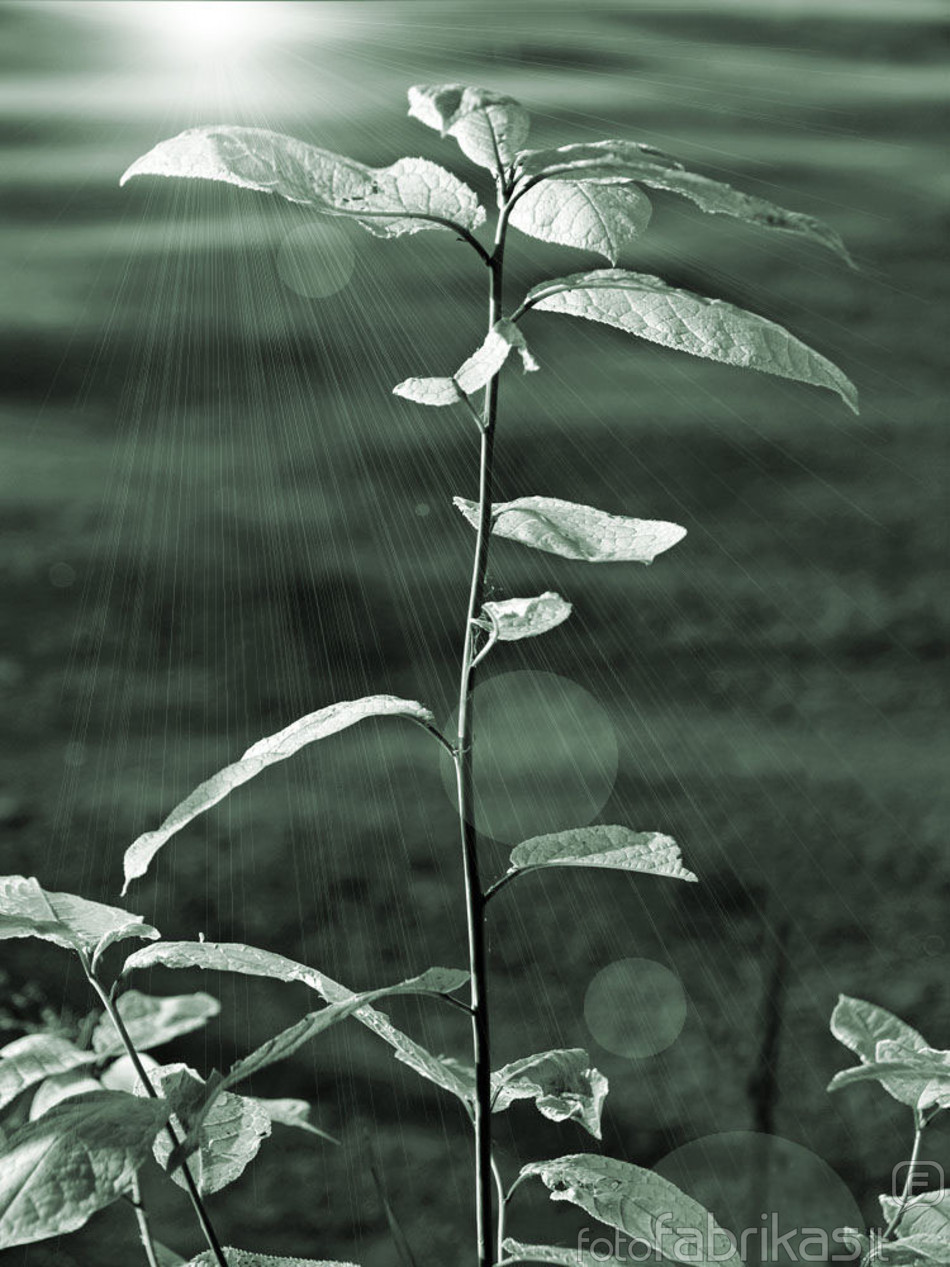 20080606_10-1311.jpg