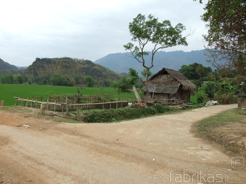 Mai Chau