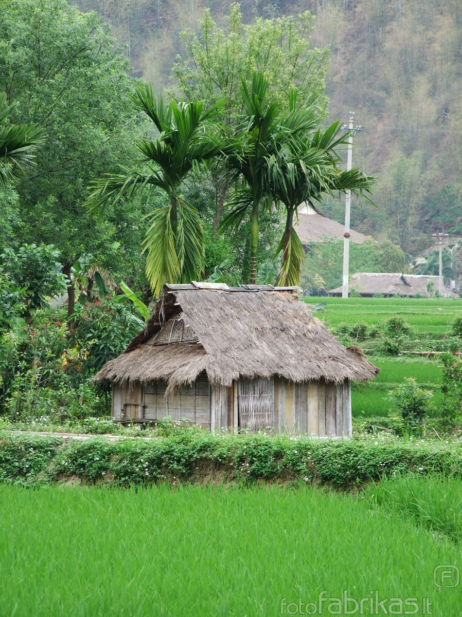 Mai Chau