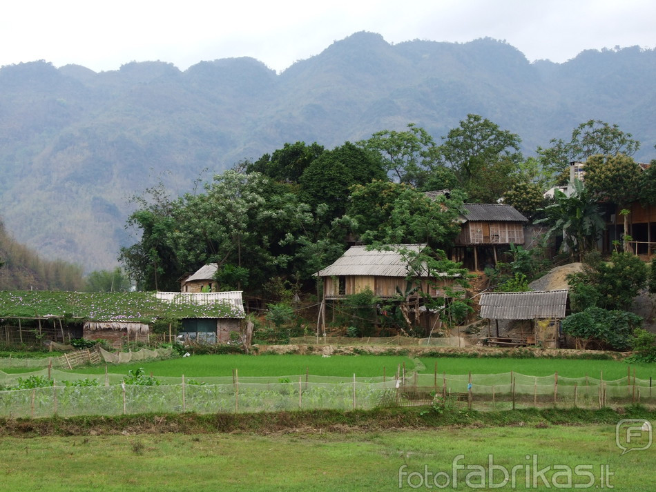 Mai Chau