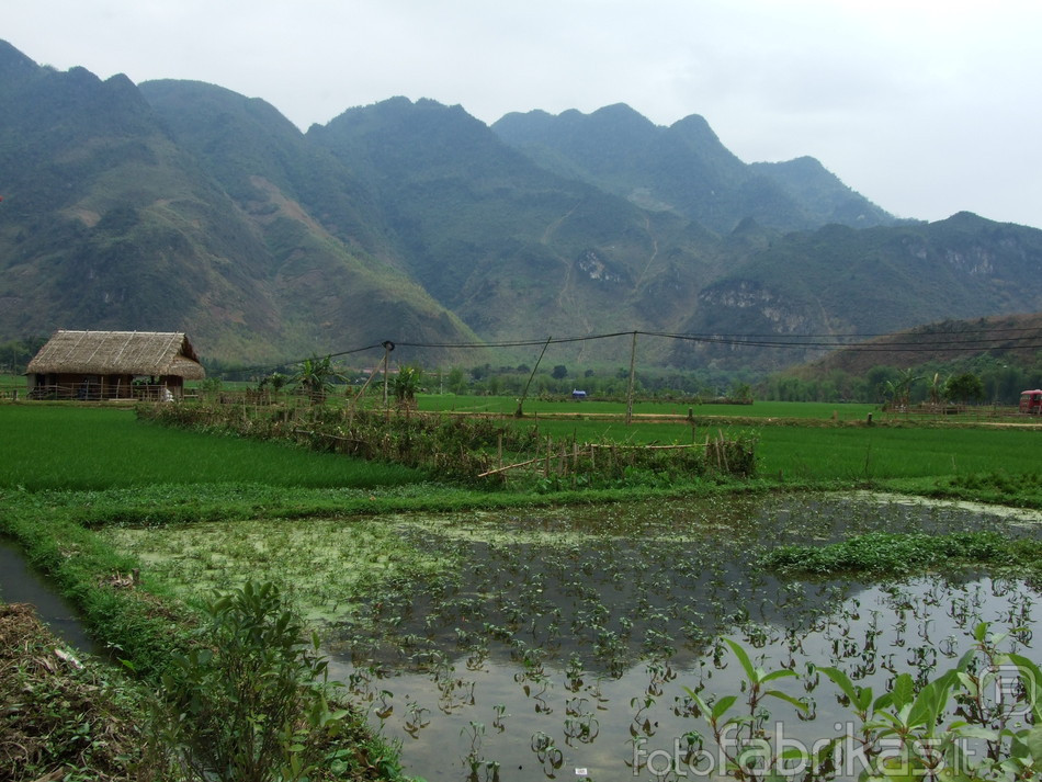 Mai Chau