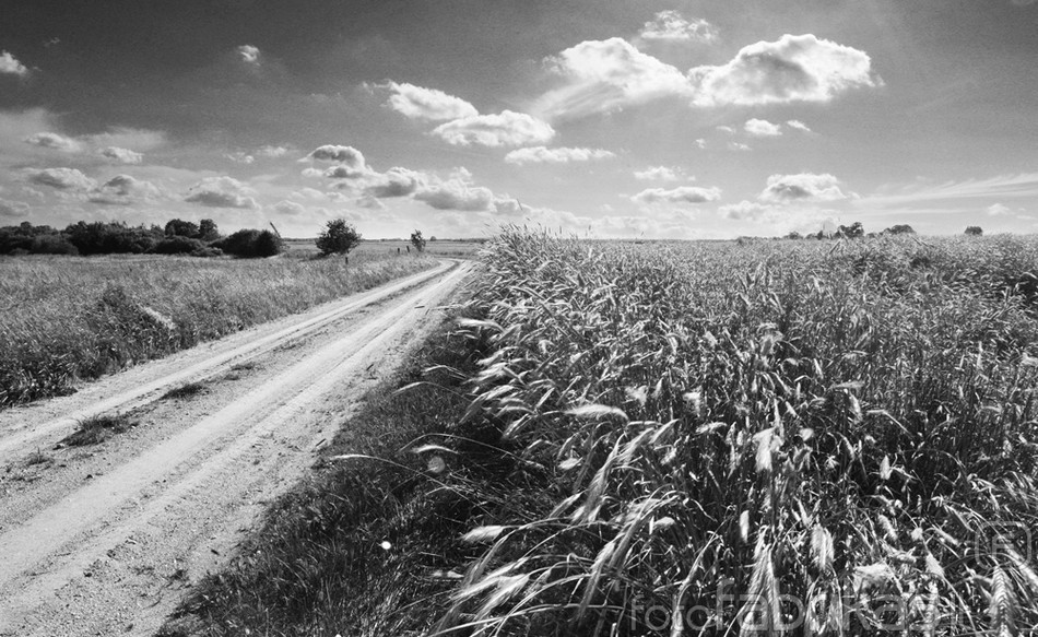 Provincijos keliais