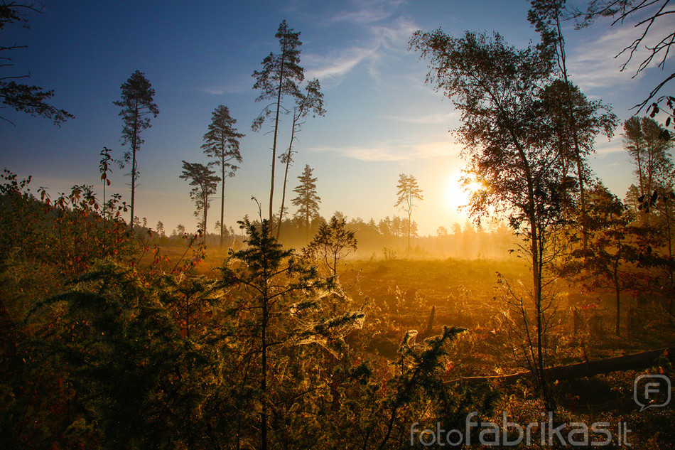 rudens rytas