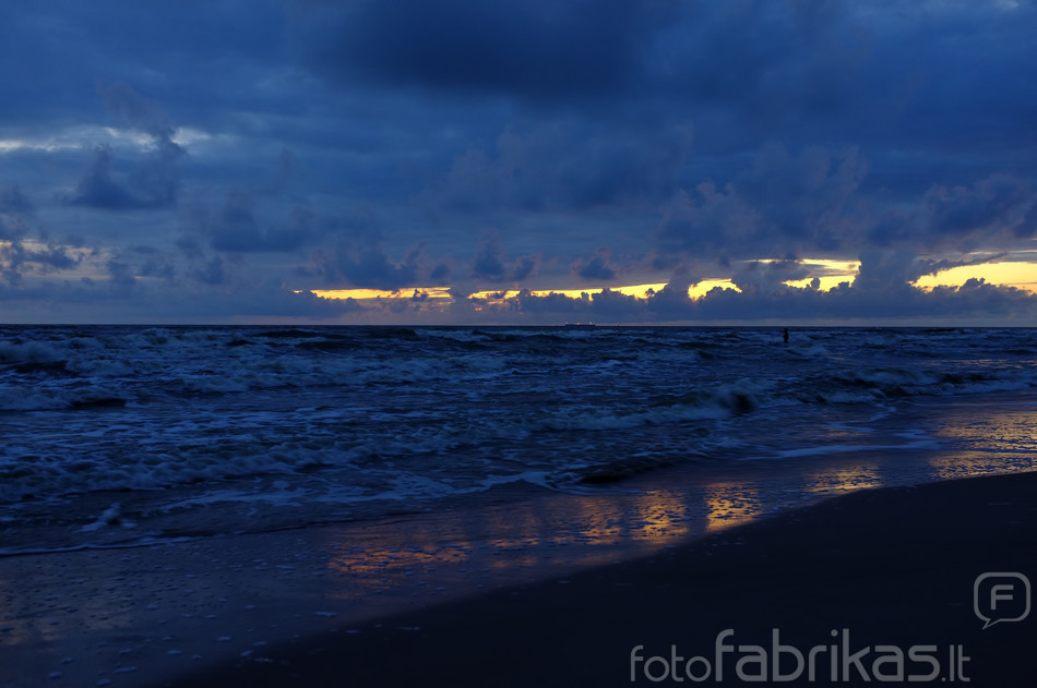 DSCF2981.jpg