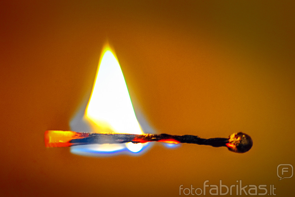 Liepsnelė2