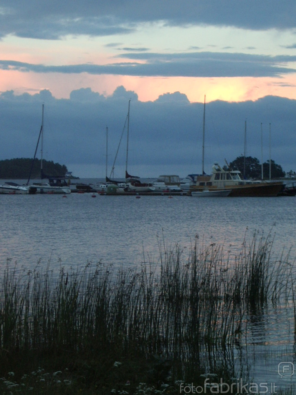 IMGP0126.JPG